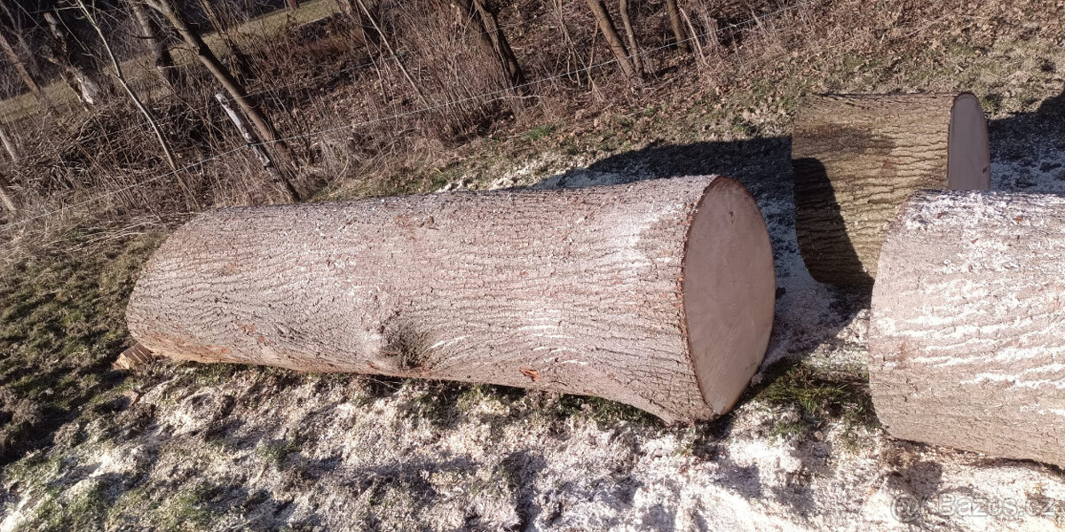 Prodám kmen lípy - 2