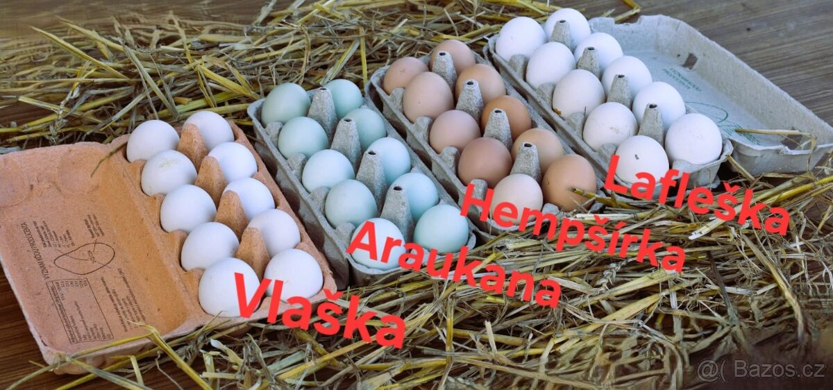 NV hempširky velké - 2