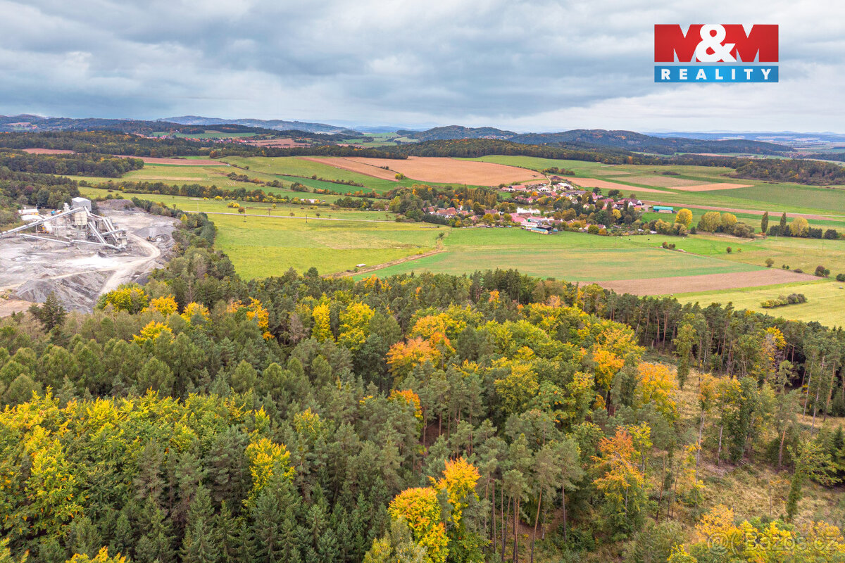 Prodej lesa, 39171 m², Ježovy - 2
