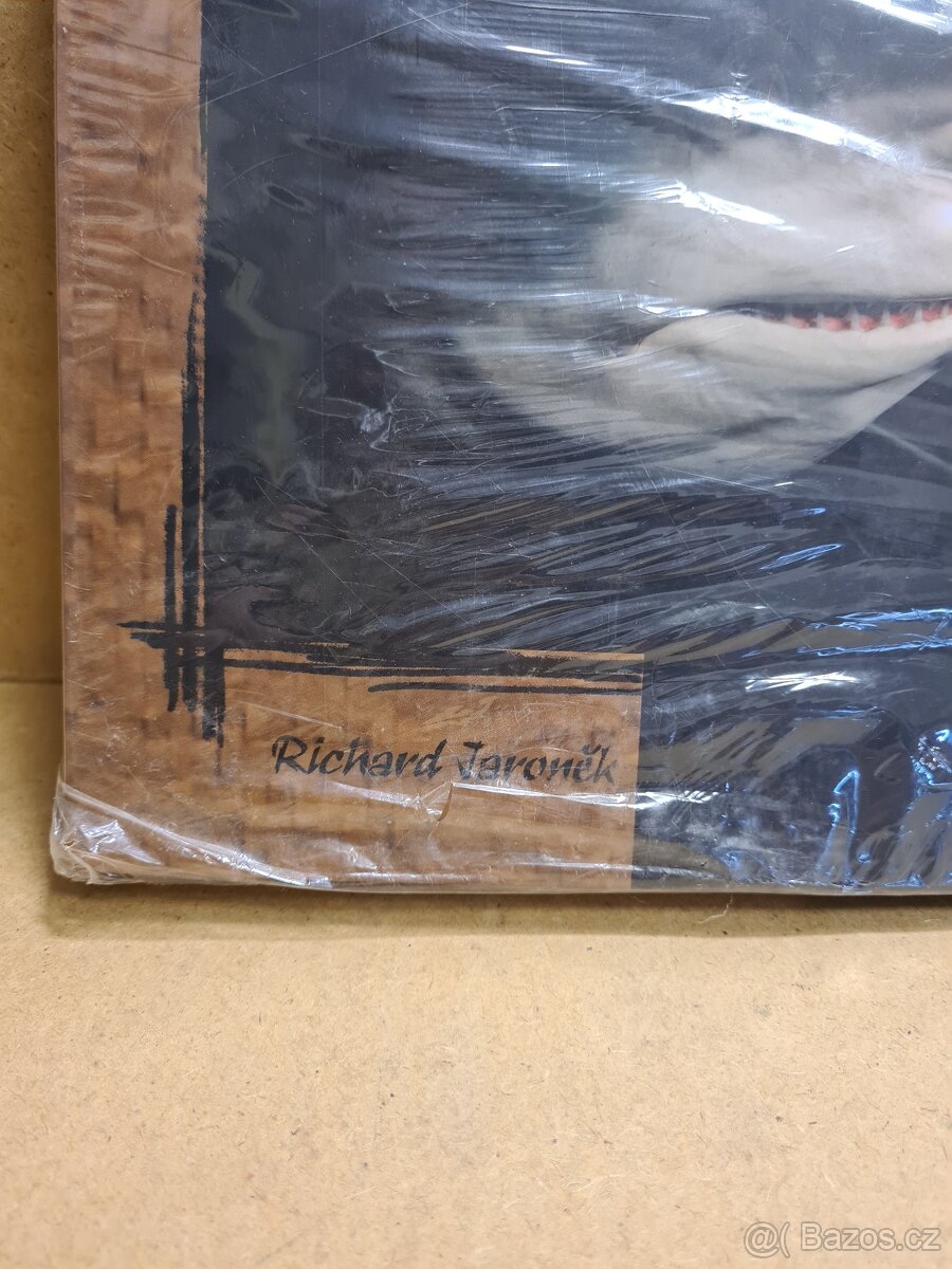 kniha Čelisti Afriky, Richard Jaroněk - 2