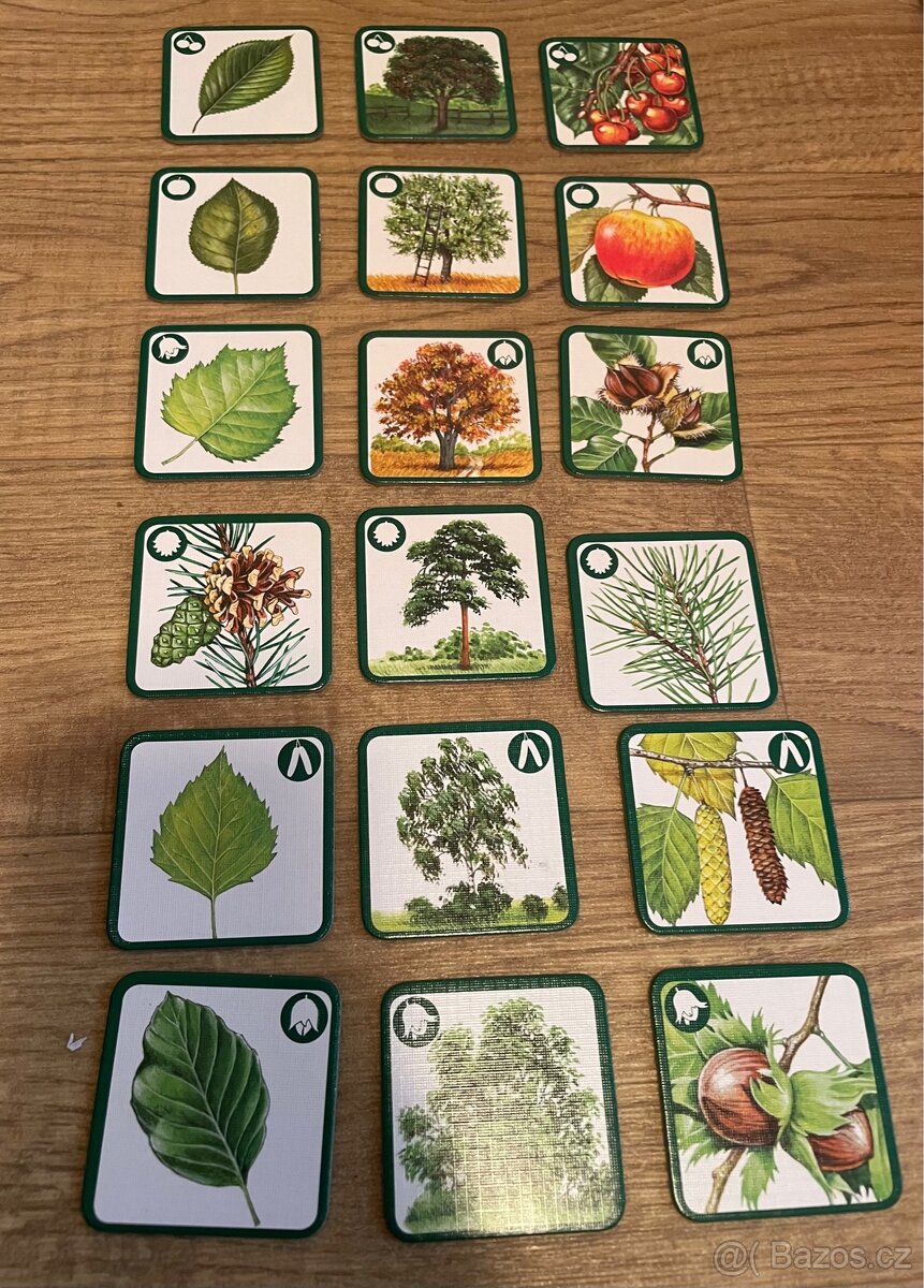 Pexeso, Pexetrio, stromy - 2