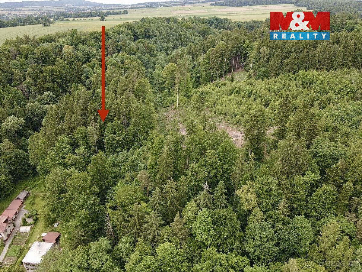 Prodej lesa, 2745 m², Ústí nad Orlicí - 2