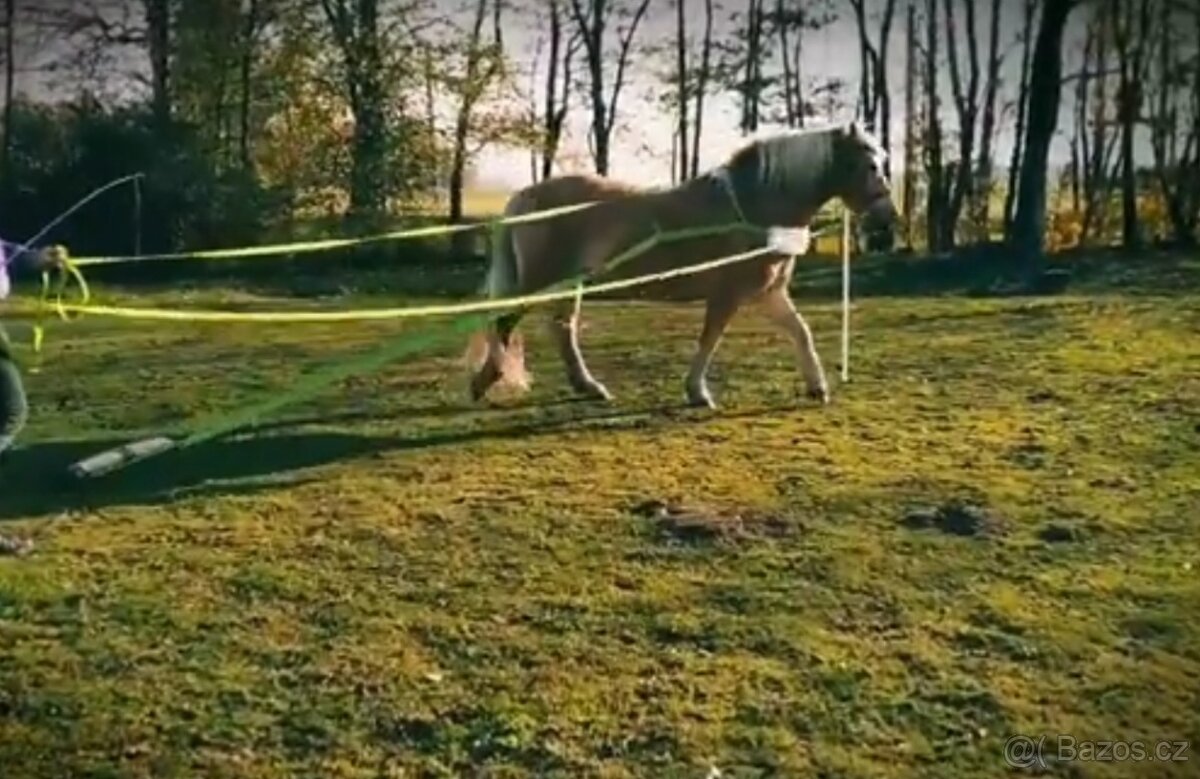 Nylonový postroj - 2