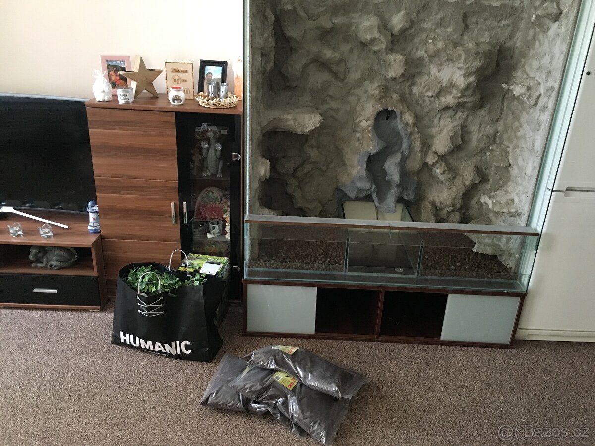 Prodám terárium s Agamou kočičínskou - 2