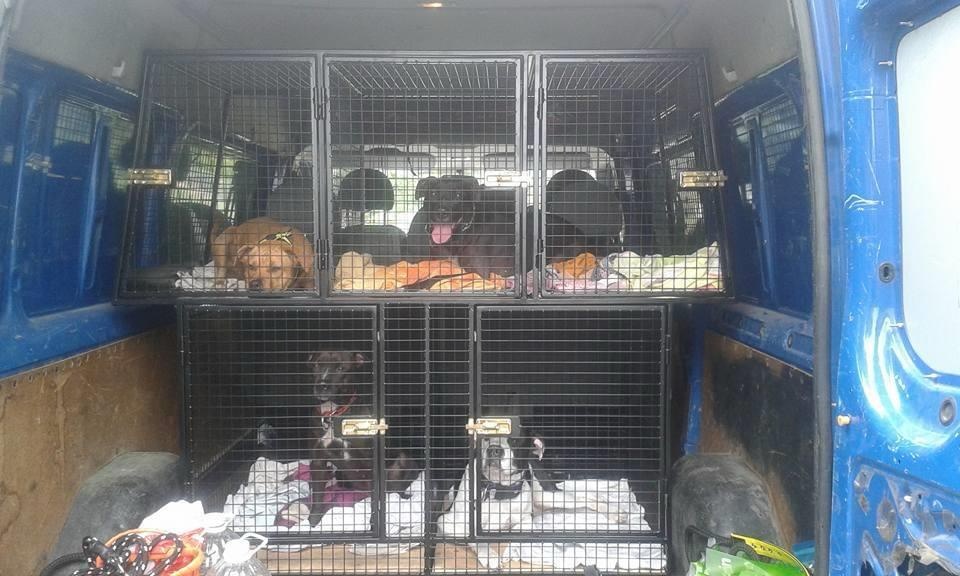 Klec pro psy do auta - 2