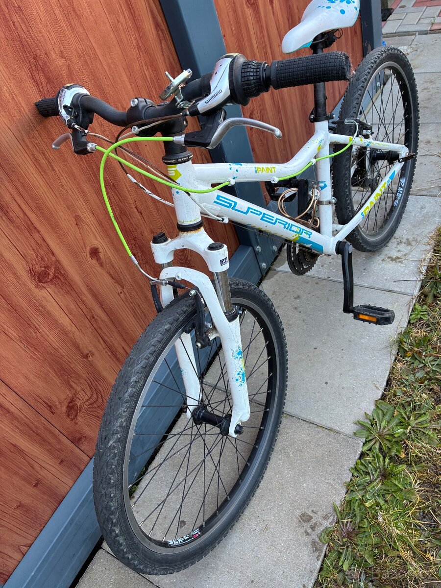 Detske kolo Superior paint 24” - 2