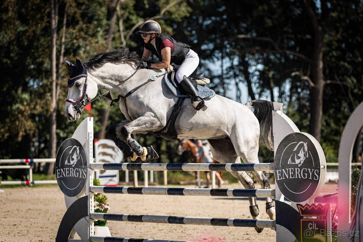 Prodej - Klisna LADY B - 2