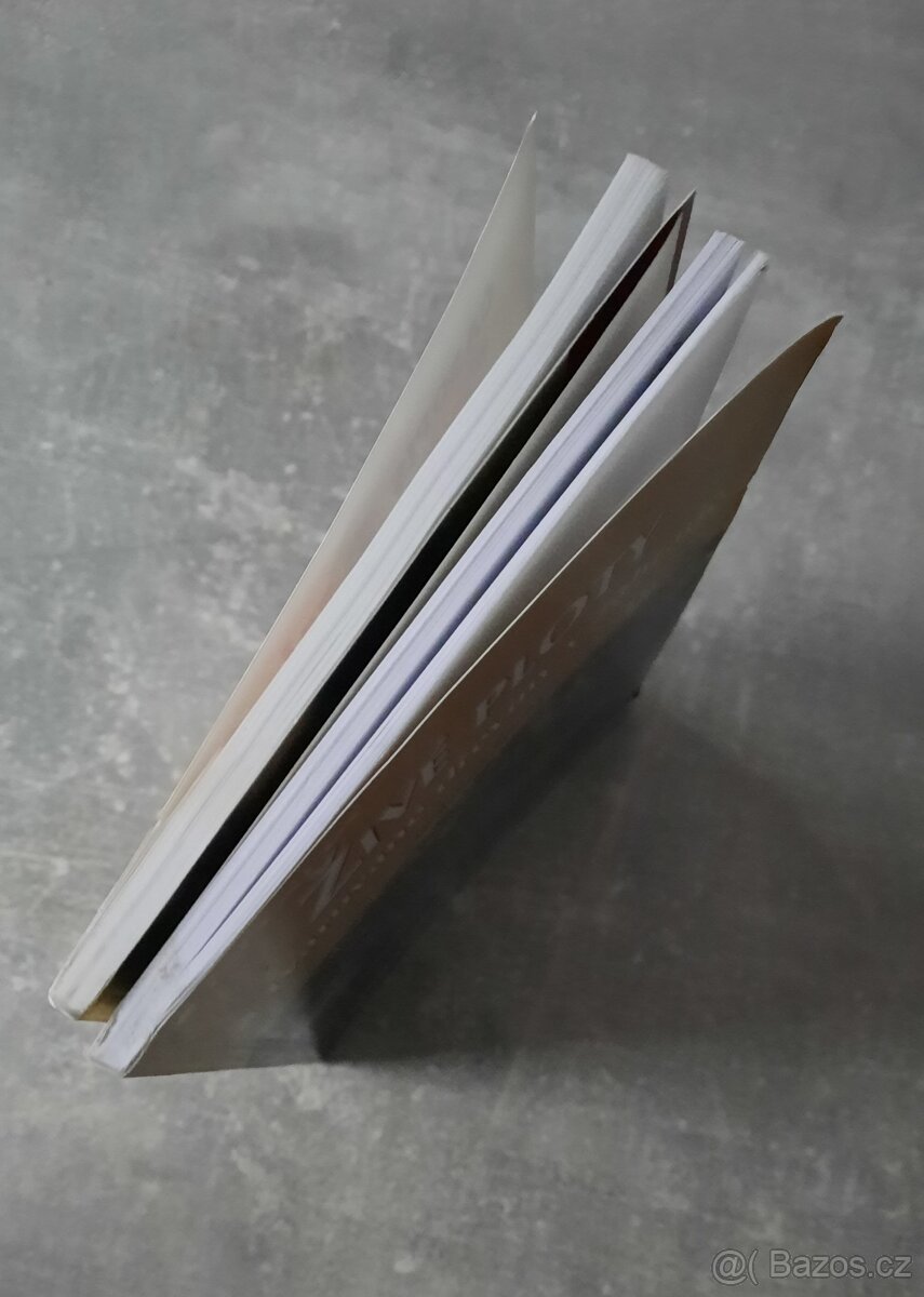 Živé ploty a tvarované dřeviny v zahradě - 2