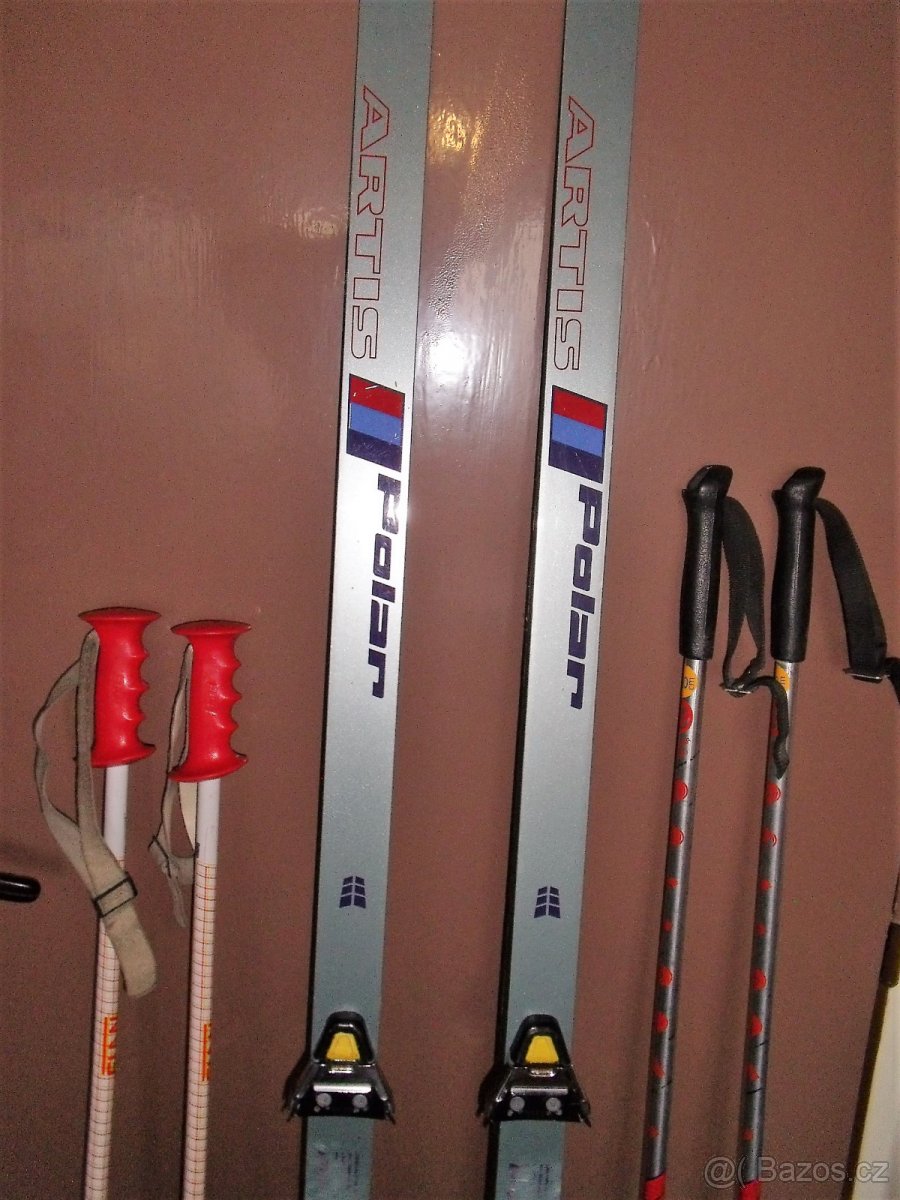 Lyže běžecké ARTIS POLAR 195 cm - 2