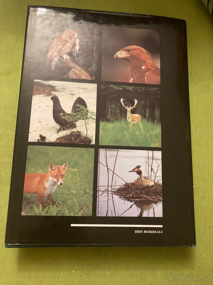 Tisíc let myslivosti - 2