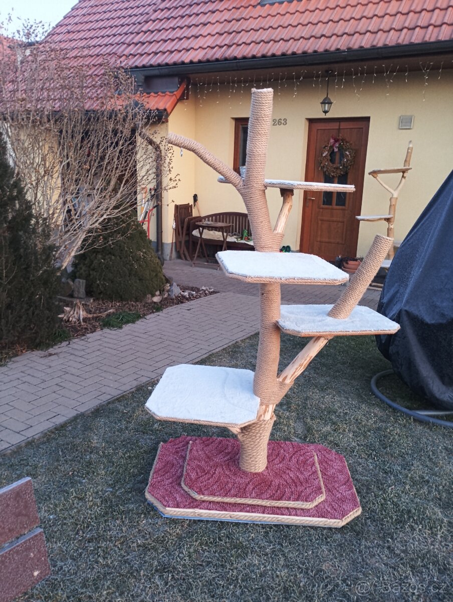 Kočičí škrábadlo. - 2