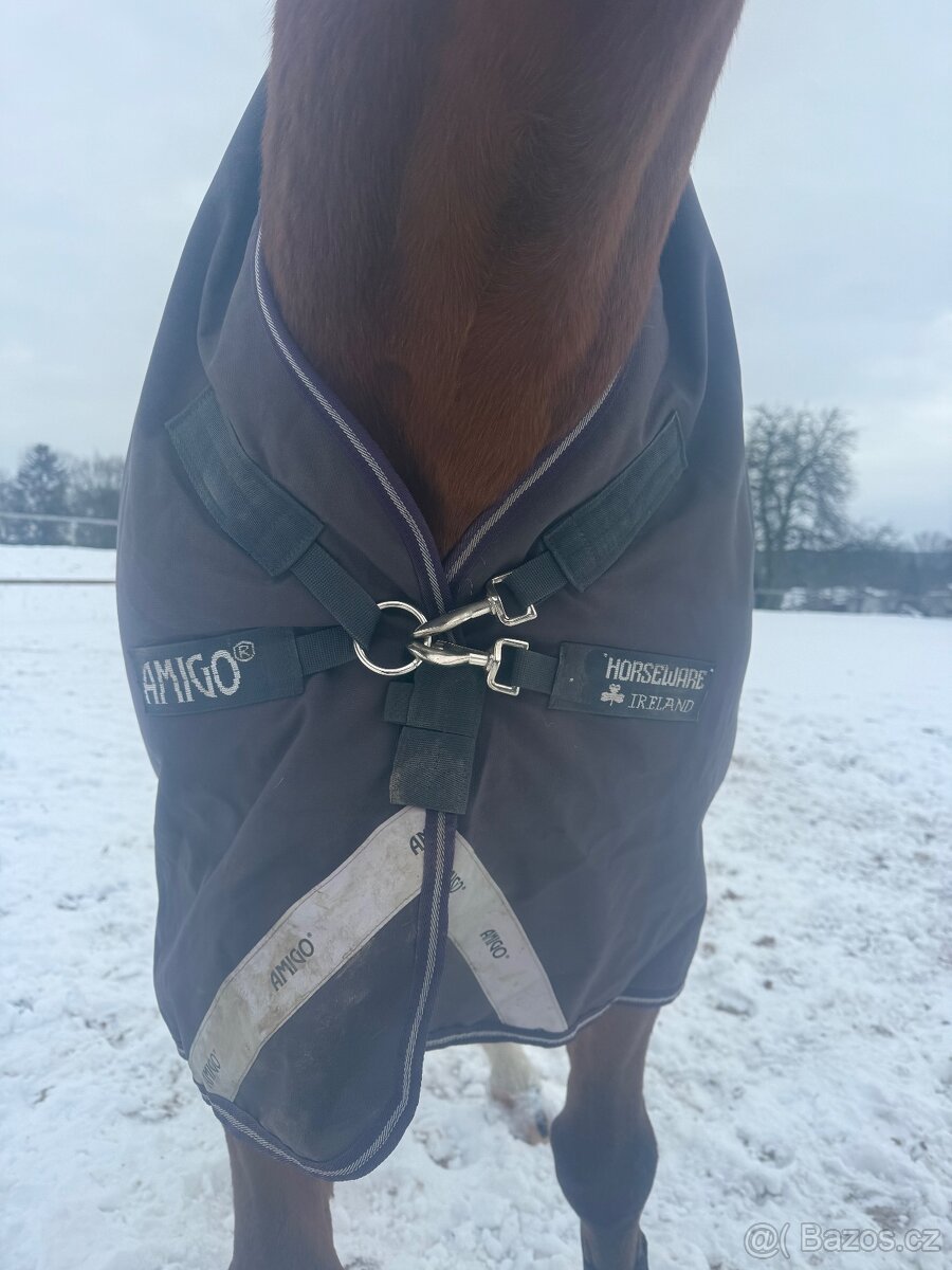 Výběhová deka Amigo 250g, 145 cm - 2