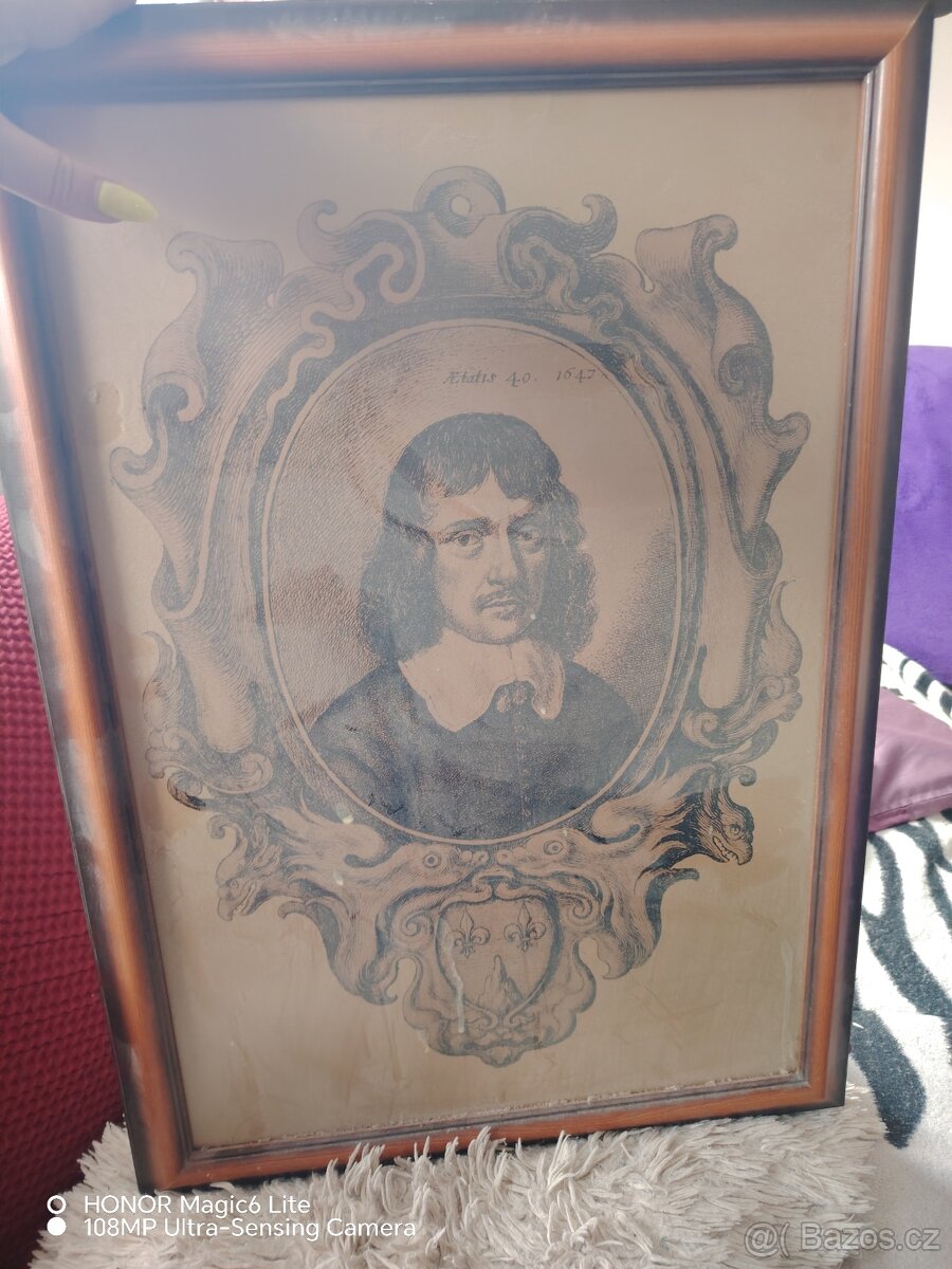 Prodám obraz Ostrava - 2