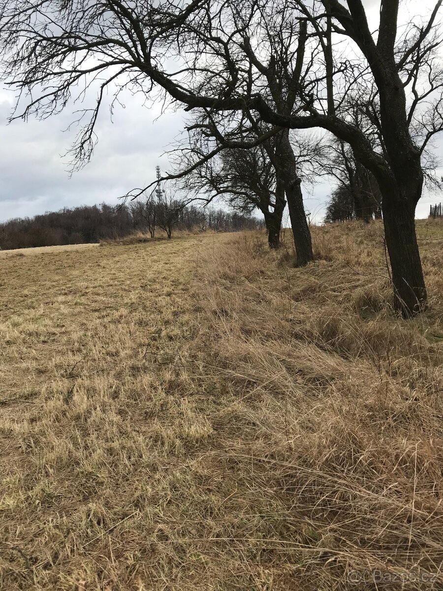 POZEMEK STAŘÍČ - 2