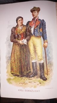 Květy 1885-1889 - 2