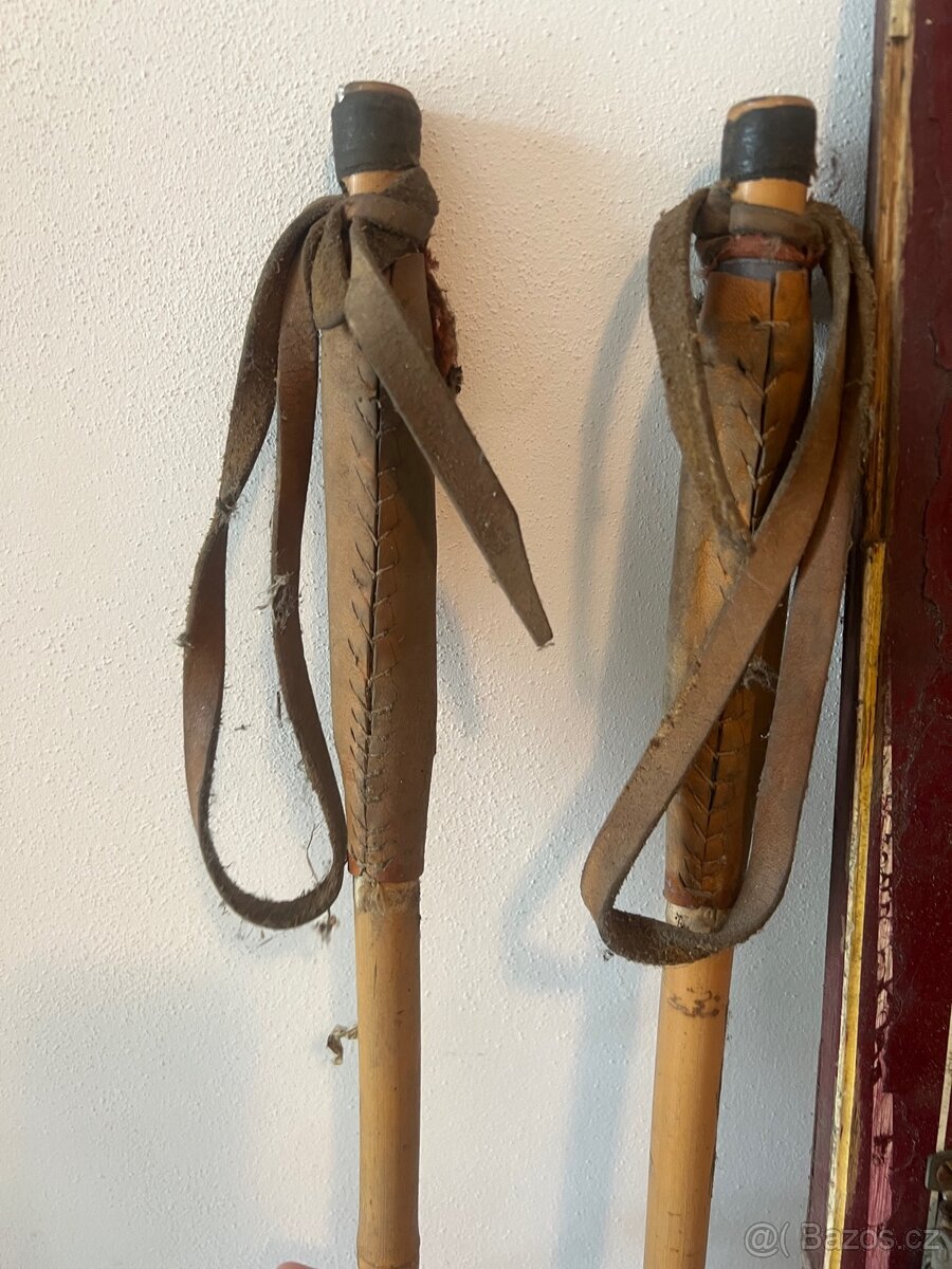 Lyže Artis Olympic - 2