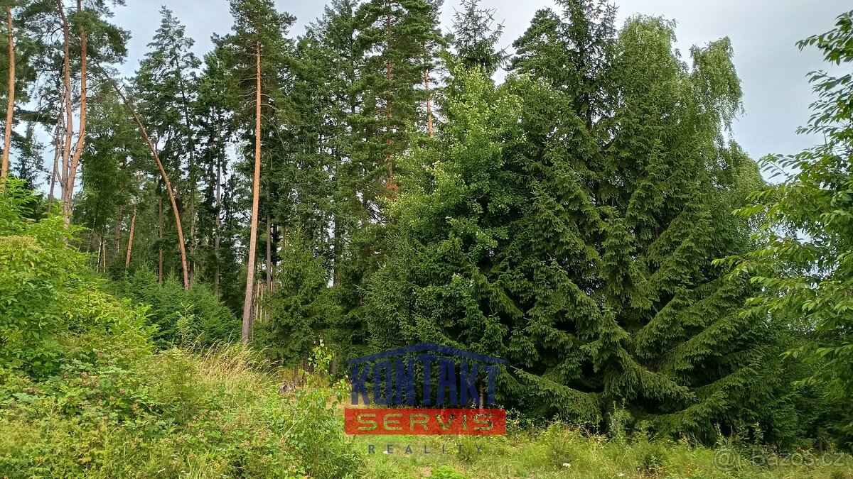 Prodej lesa 2 562 m², Bušanovice, ev.č. VŠ-7821 - 2