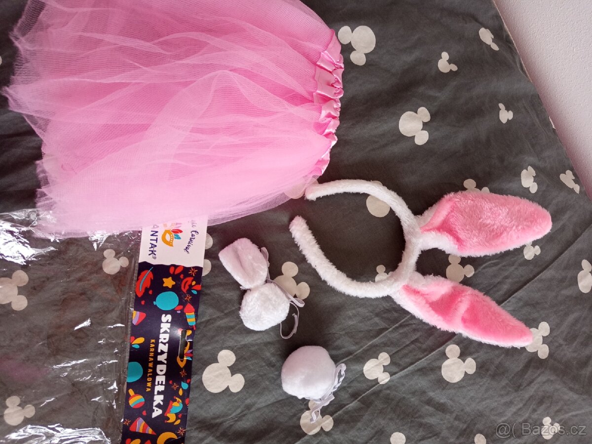 Karnevalový kostým - 2