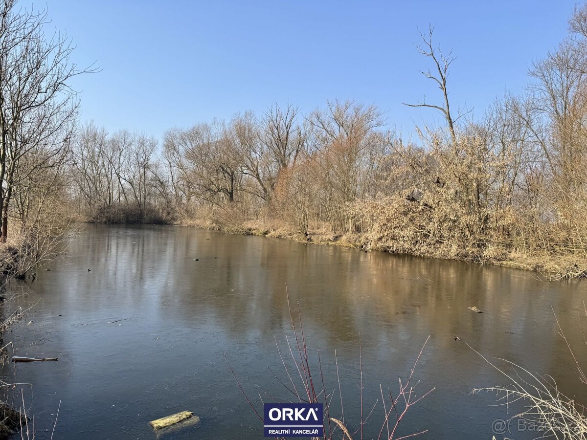 Pronájem rybník, 6 501 m2 - Bystročice - 2