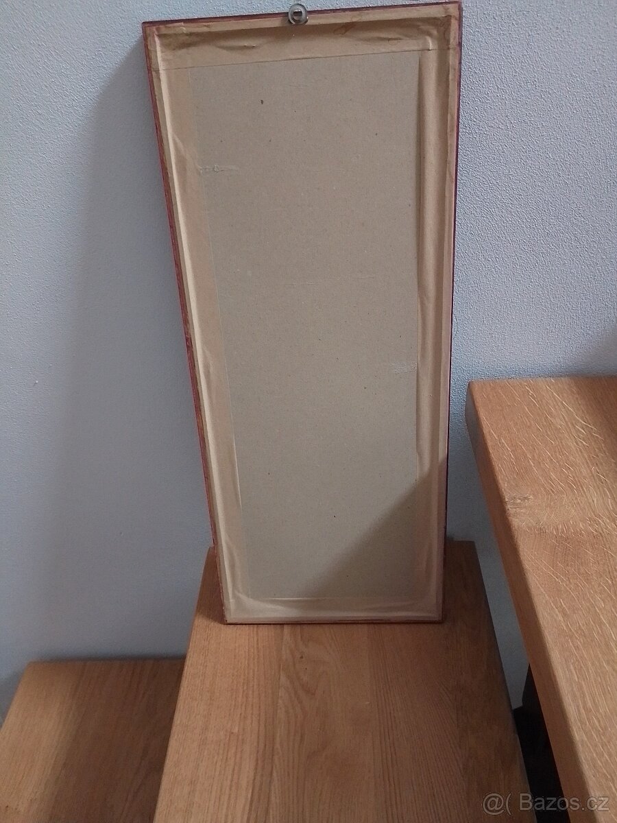 Obrázek Mucha - 2