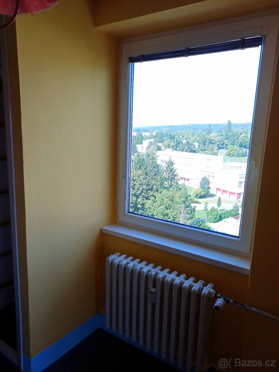 Pronájem bytu 1+1 Blansko Dvorská - 2