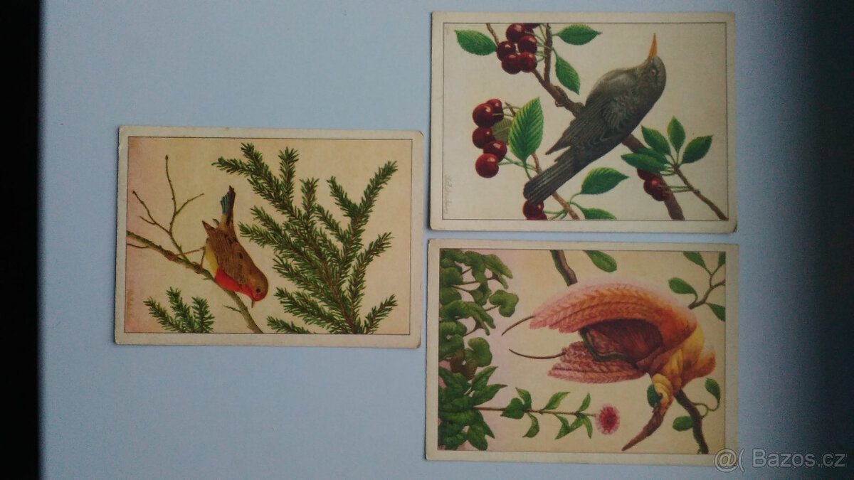 Staré pohlednice, Otto Zahrada, 3 ks - 2