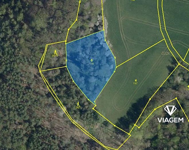 Pole 2 261 m² - 2