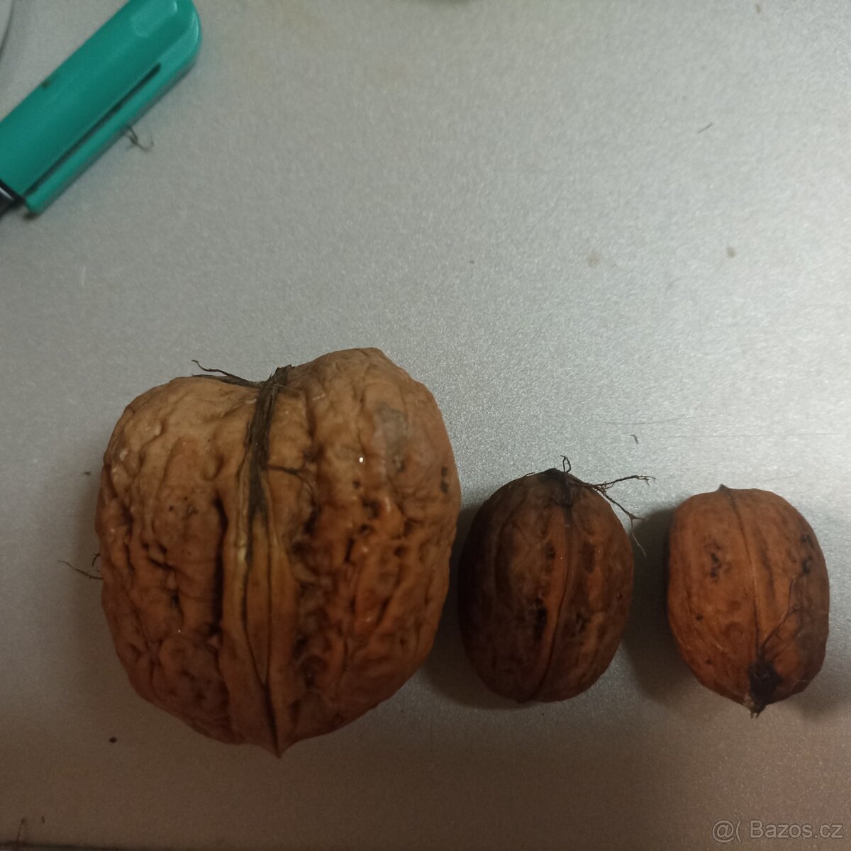 Ořechy papirače - 2