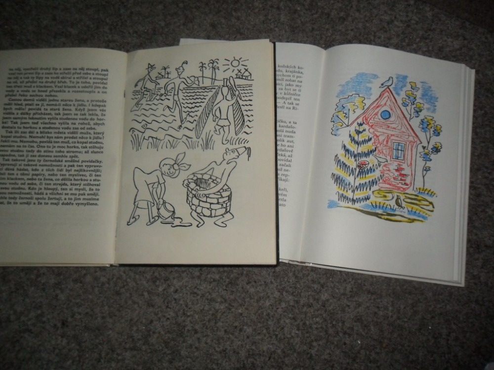 Čapek Pohádky, O letadélku káněti, Rybaříci na Modré zátoce - 2