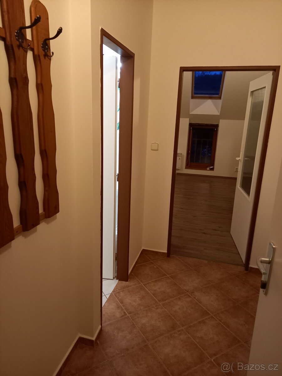 Pronájem bytu 2+kk - 2