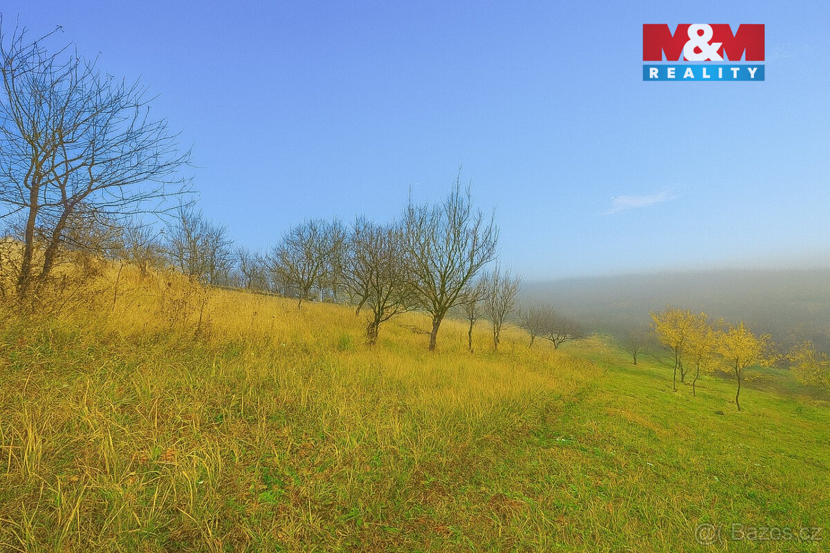 Prodej vinice, 1791 m², Bukovany - 2