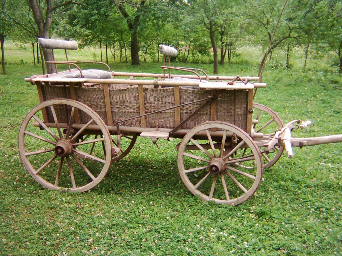 Bryčka za koně - 2