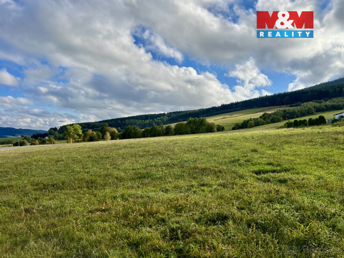 Prodej pozemku k bydlení, 43959 m², Králíky - 2