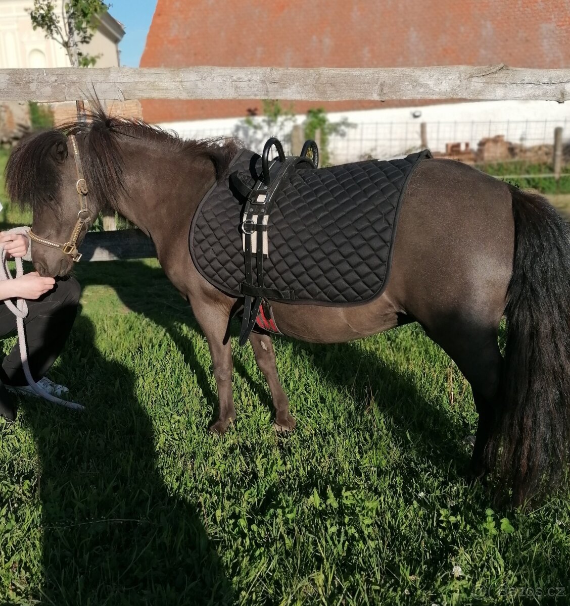 Vyjížďka na koni v Národním parku Podyjí - 2