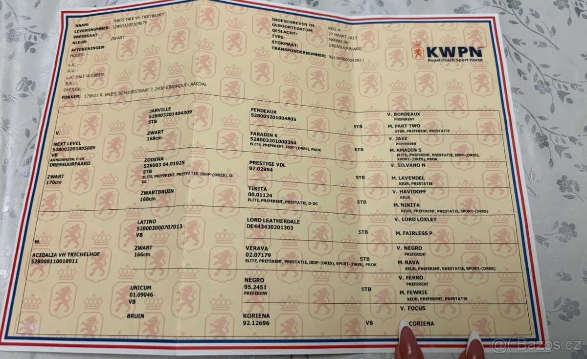 KWPN - 2