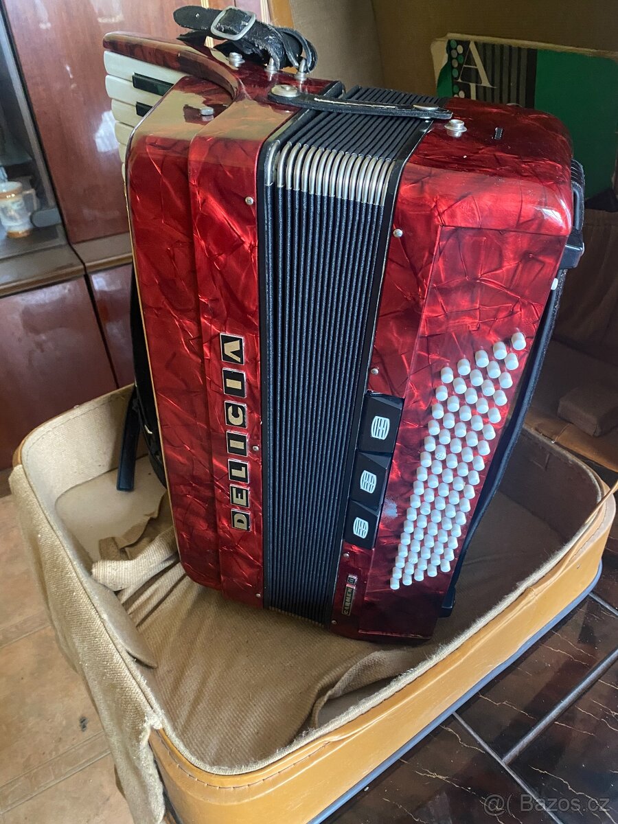 Akordeon Delicia Carmen II - 2