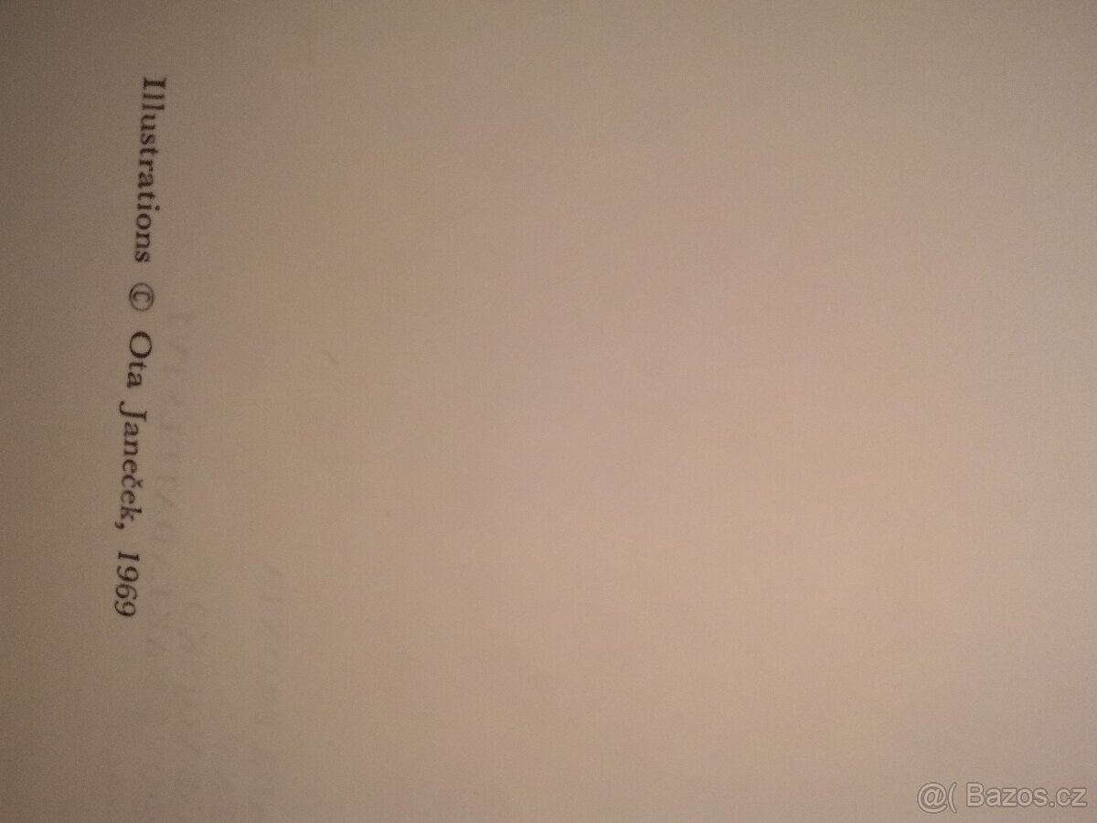 Gustave Flaubert - paní Bovaryová - 2