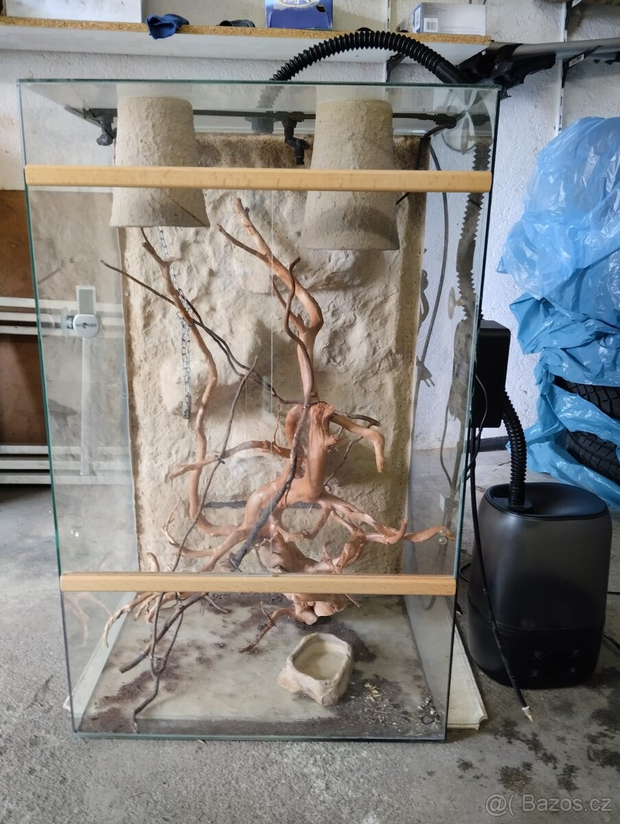 Vybavené terarium - 2