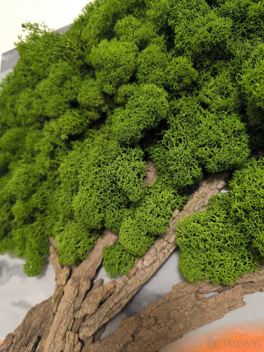 Originální obraz západ, rodina - 2