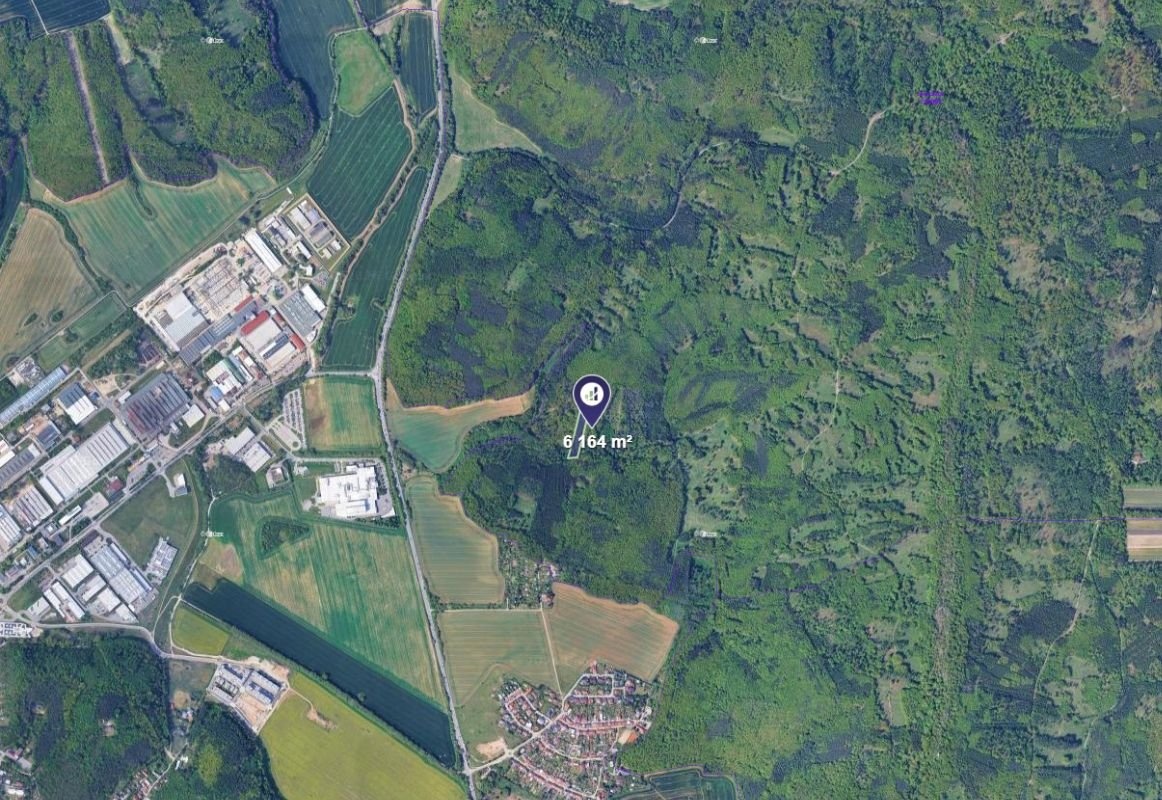 Prodej podílu 1/8 lesa 771 m², Svinošice - 2