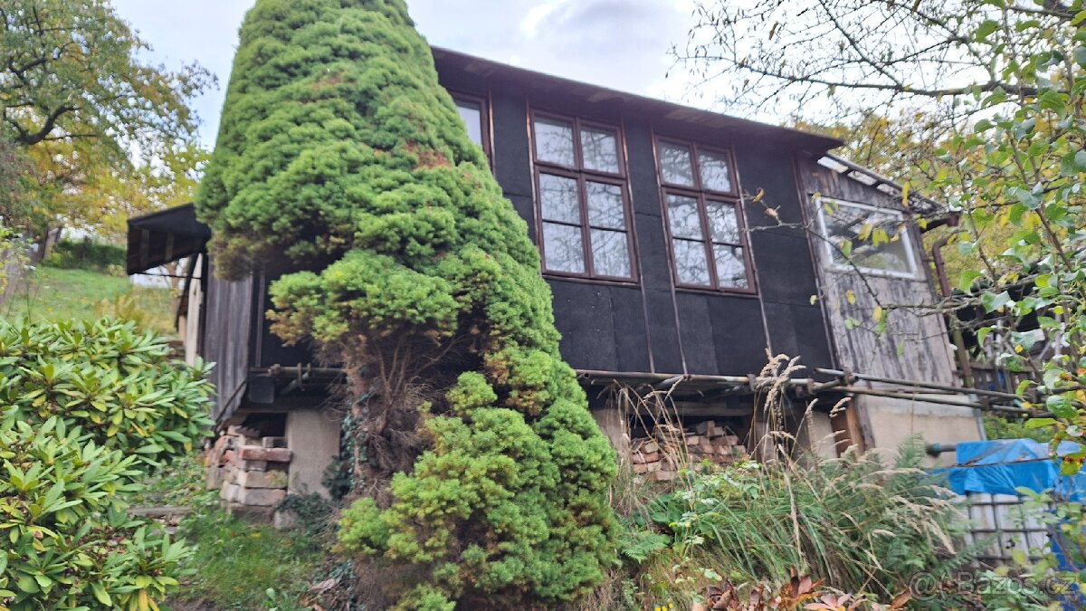 Chata se zahradou - 2