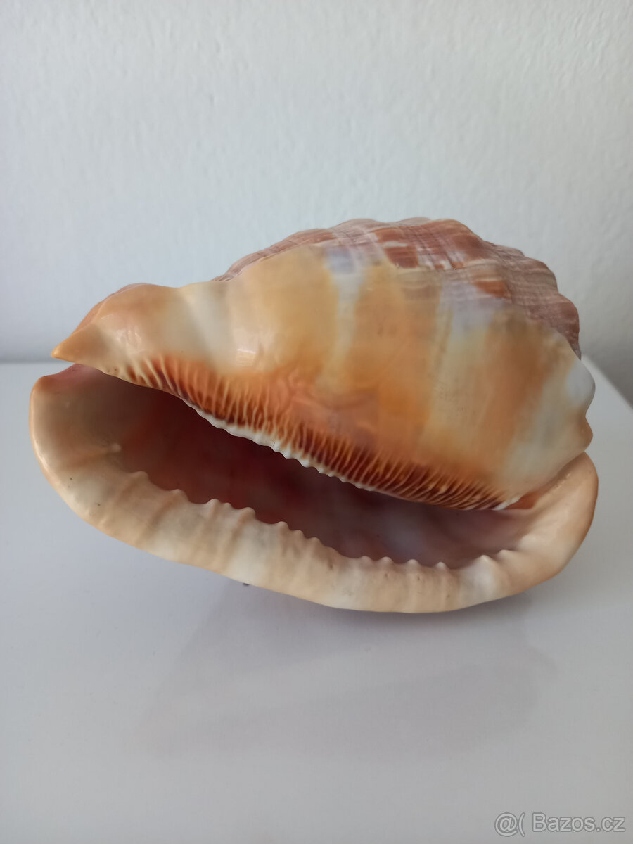 3 lastury + 2 písečné dolary - 2