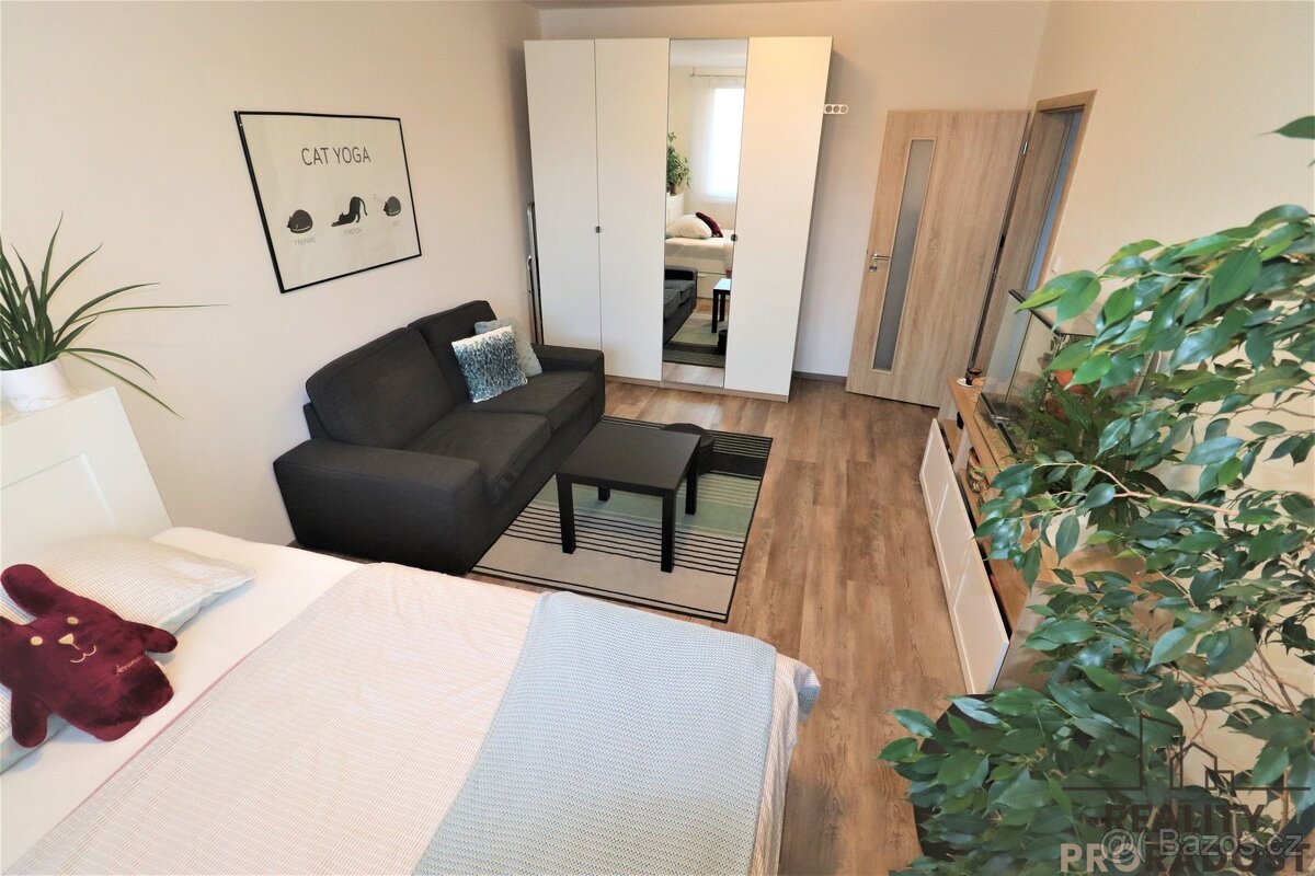 Pronájem rekonstruovaného bytu 1+1 40 m2 Petra Křičky - 2