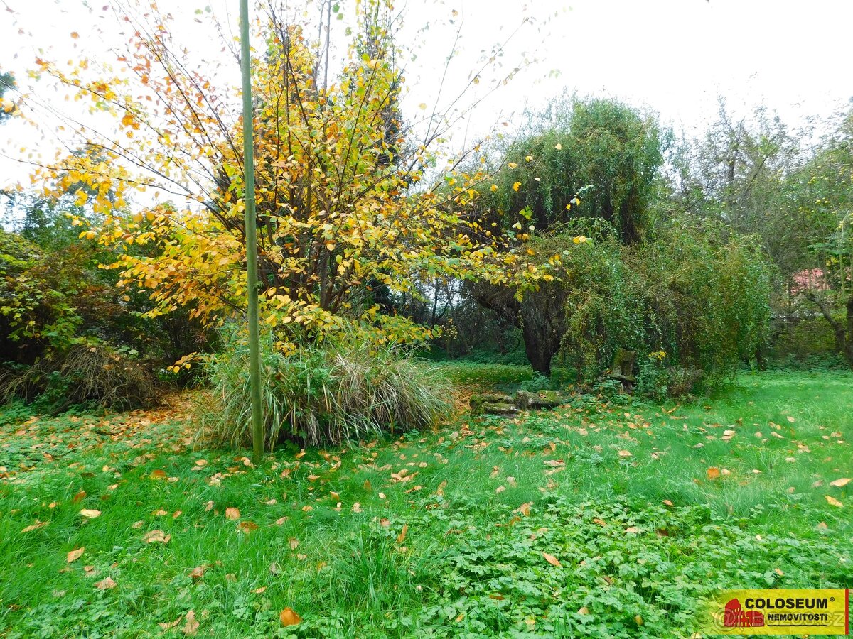 Dyje, zahrada, jezírko, 387 m² – pozemek, ev.č. V3288Z037 - 2