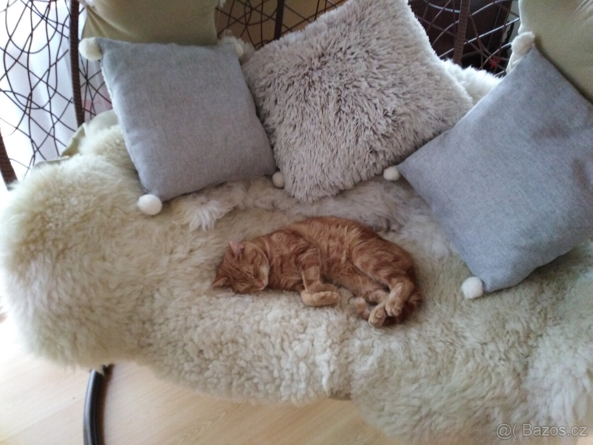 Ovčí kůže, třeba na čerty - 2