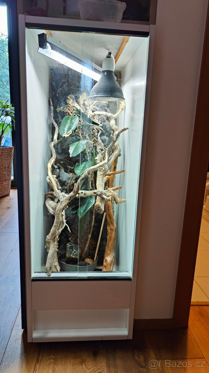 Terárium chameleon - 2