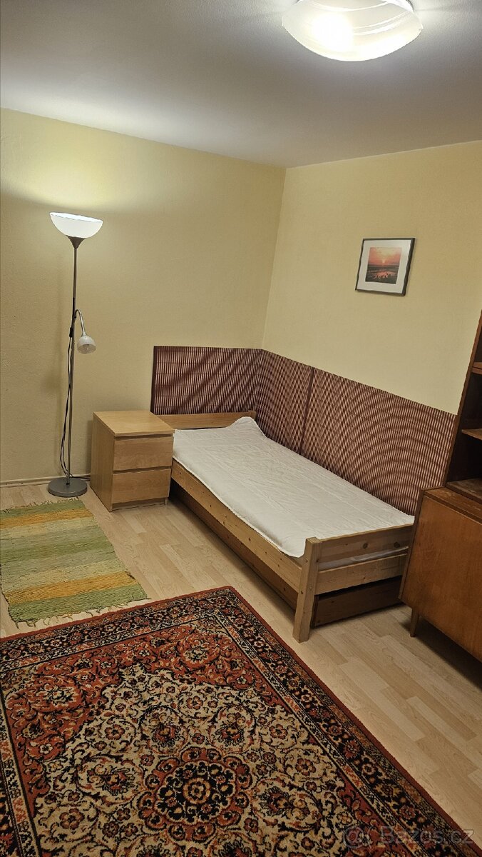 1+1 v RD v Brně-Kohoutovicích - 2