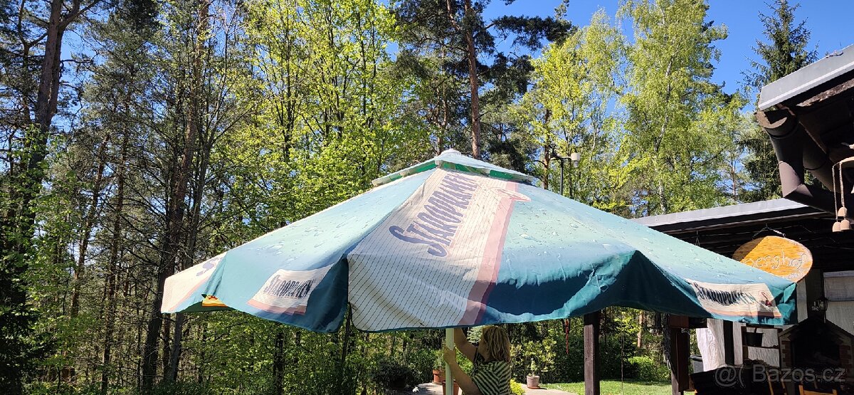 Prodám velký slunecnik . - 2
