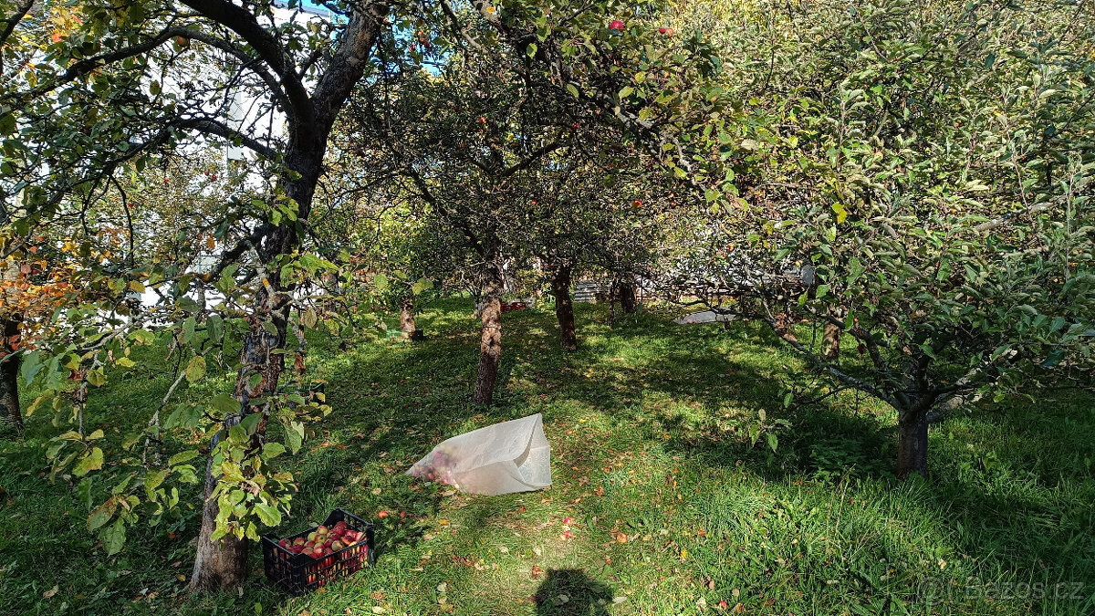 Dlouhodobý pronájem zahrady - 2