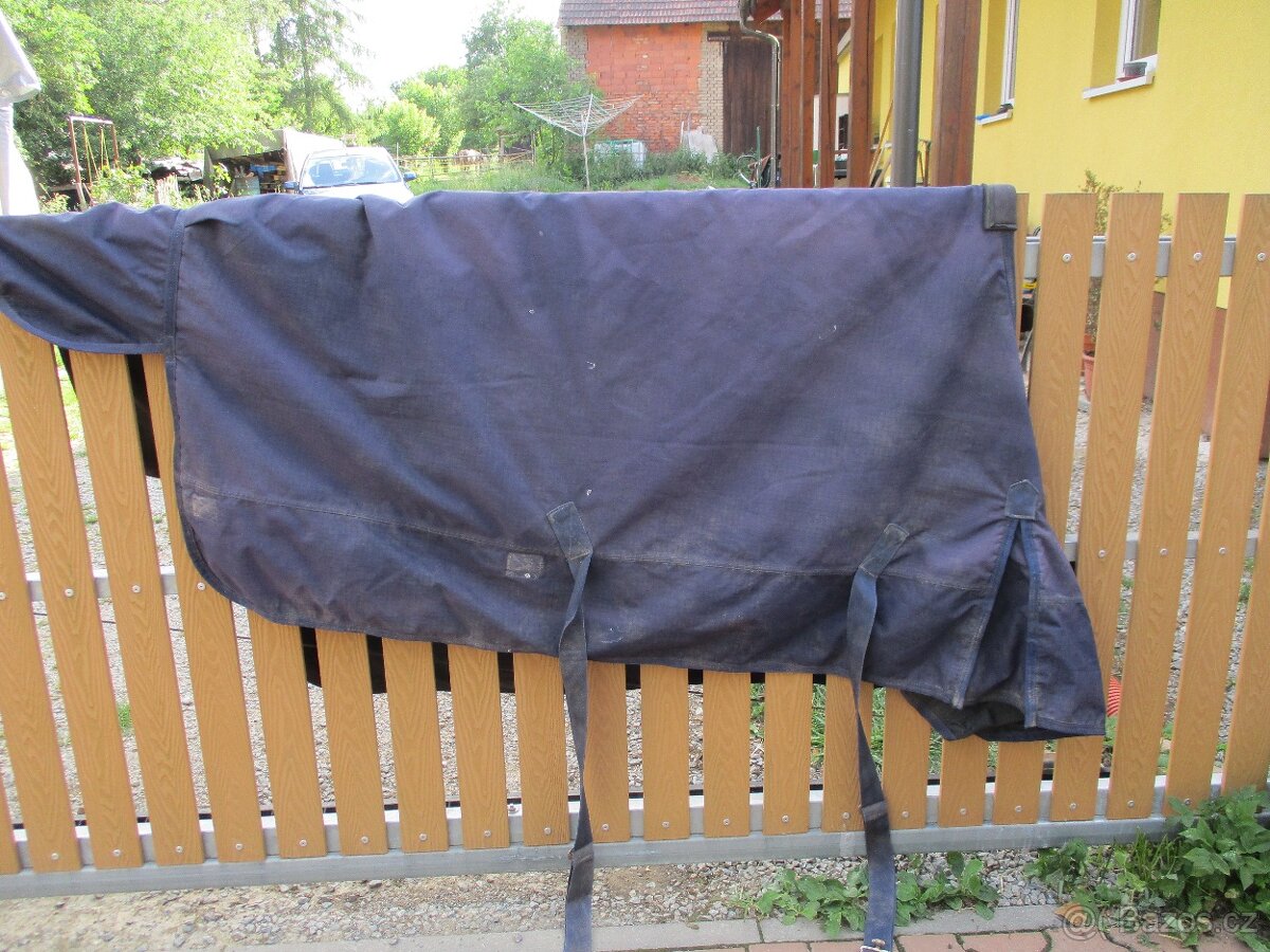 11. No name - 135 cm výběhová - 2